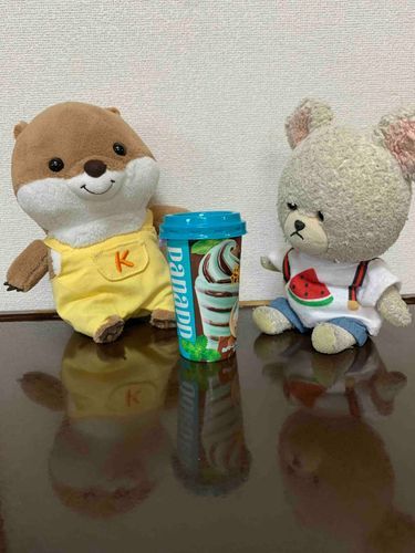 今日のおやつはパナップのチョコミント☆
パリパリチョコが続くって書いてある！コッツンも一緒に食べよう♪