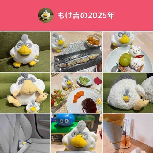 ぼくはことしのあきからふわもこをはじめたからまだおしゃしんがすこししかないけど、ここでおともだちがたくさんできて、ふわもこをはじめてよかった〜とおもってるもじゃ🥰
らいねんもおいしいものいっぱいたべたりいろんなところにおでかけしたりふわもこのおともだちといっぱいおはなしできたらいいなもじゃ🫶🏻❤️
