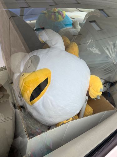おおきいこたちのおひっこしのようすをこっそりかくしどりしたもじゃ笑

くるまのうしろにぎゅうぎゅうにつめつめされてるもじゃ🫢（おくのほうにだいふくとばよばよがいるもじゃ）
でもみんなはじめてのドライブたのしかったっていってたもじゃ笑笑