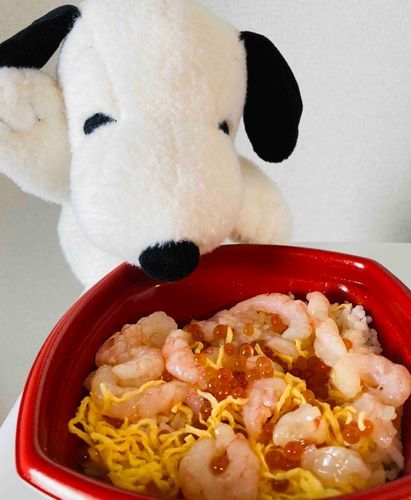 お昼ご飯🦐