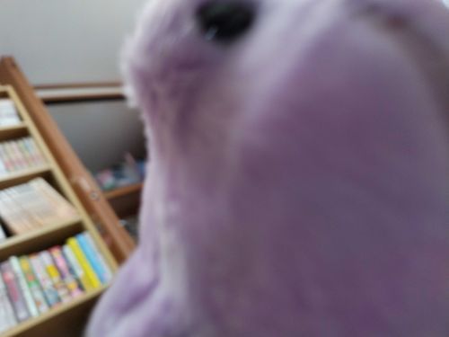 ほにおです！
始めたお！