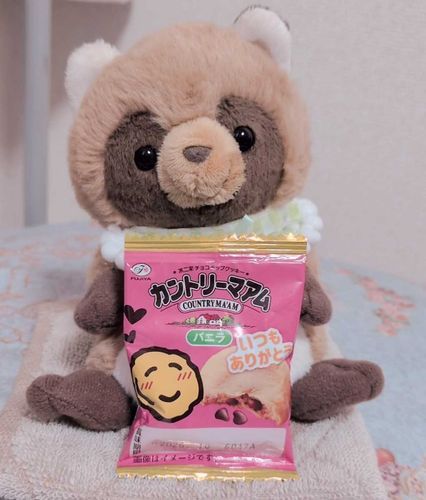 はいっ！
きなこからの プレゼントだよ✨️💛