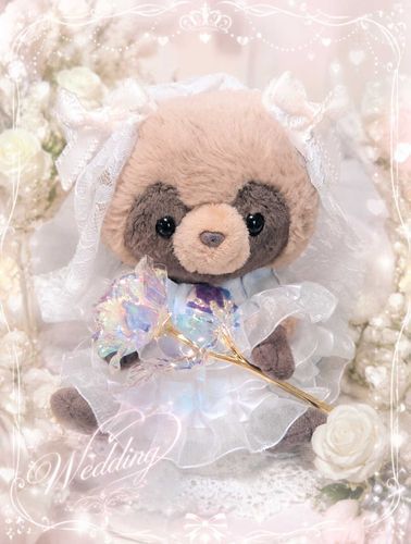 きなこなんだよ✨️💛
はなよめさんごっこ🌸をしたんだよ〜
はぴはぴさんだったよ！💛
