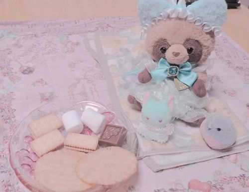 きょうのごほうびおやつ🌼なんだよ〜✨️
びすこさん🍪ましゅまろさん🤍ぽてとふらいさん🍟ちろるちょこさん🍫
みんなでわけわけすると　はぴはぴなんだよ✨️