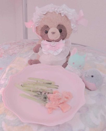 きなこたちのぶんのごはんだよ✨️💛
かいぬしさんがつくってくれたんだよ✨️
