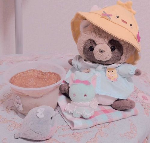 きなこ✨️💛
きょうは かふぇおれのぷりん🍮☕️をたべたんだよ〜！
ぷるぷるであまくて おいしいさんだったよ🌼