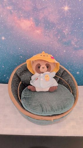 きらきら🌟🌠きれいなおほしさまをみたんだよ〜！