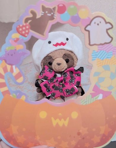 とりっくおあとりーと！✨️🎃🧡
おかしくれないと……がおー！ってするんだよ〜👻✨️