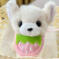 ぱる🐾