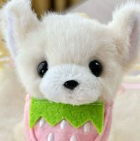 ぱる🐾