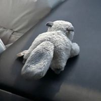 ピーち