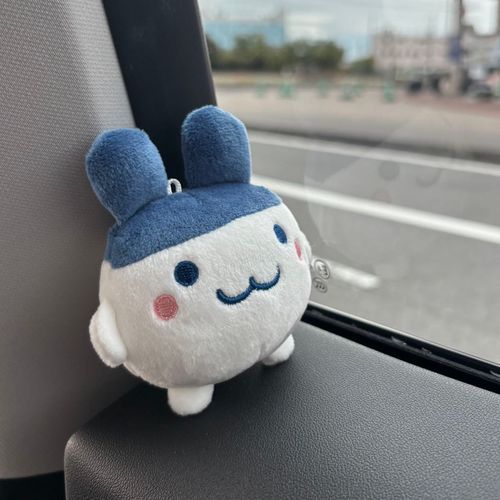2026年5月27日、主さんに出会っておうちに連れて帰ってもらったぴょん🥕

これから色んな所にお出かけしようねって言われたから、SNSを始めてみたぴょん🥕

お友達出来たら嬉しいぴょん🥕