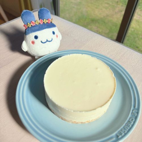 主さん、旦那さんのお誕生日にレアチーズケーキを作ったんだけど、お砂糖を入れ忘れちゃって美味しく作れなかったらしいぴょん🧀

そういう日もあるぴょん🥕