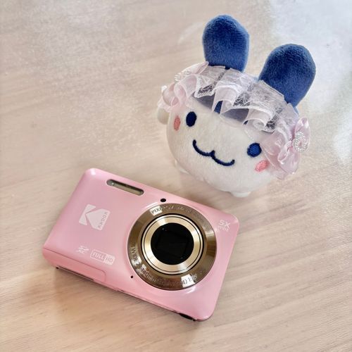 主さんがコンデジを買ったぴょん🥕

ピンクに一目惚れしたらしいぴょん📸💖

一眼レフも持ってるけど、これは「エモい」写真が撮れるとかで別物らしいぴょん🥕

「エモい」ってなんだぴょん……？