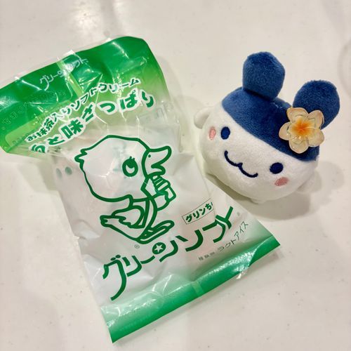主さん、ヨーロピアンシュガーコーンが好きって前に言ってたけどこれも好きらしいぴょん🥕
多分ローカルアイスだぴょん🍨

夏はさっぱり系が美味しいぴょんね🥕