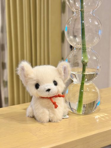 令和8年8月8日のゾロ目の本日家族になった、プチフォンテーヌのチワワちゃん🐾

名前は韓国語で「8」を意味する「ぱる」です✨

子供の頃、チワワじゃないけどハチって名前の犬を飼ってたのでなんだか運命的…。

これから沢山お出かけしようね！🚗°・*: