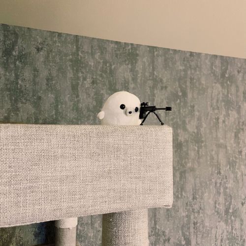 アイコン画像の引きバージョン😂

アサシンあざらし🦭