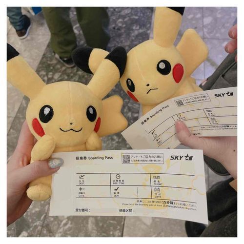 ぴかちゃん
てまえがうちのこ、うしろはともだち
ひこうきのったときのしゃしん
こうくうけんがピカチュウでかわいい
