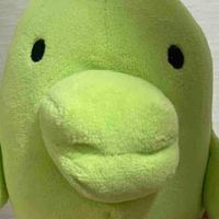 はまち
