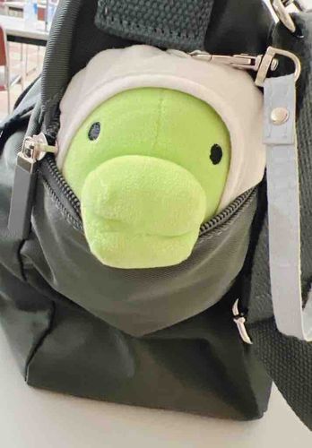 今日もいい唇( ･θ･)