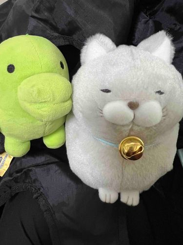 誕生日プレゼント頂きました…！
新しい家族☺️