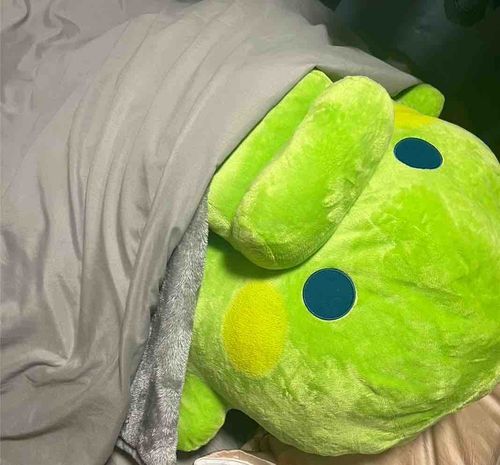 私は畳で寝ますのでそのままどうぞおやすみください(:3[____]