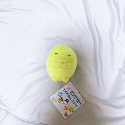 半年待って、やっと、やっと会えたね😭ようこそ😭