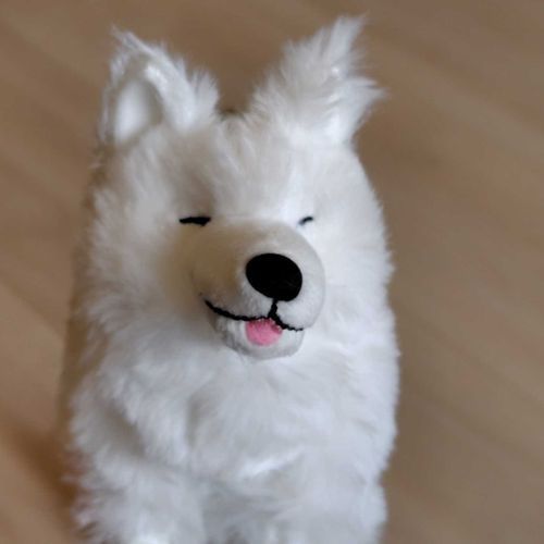 サモエドだわん！！