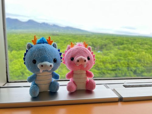 基本的には
ｾﾝｾと一緒に旅してます