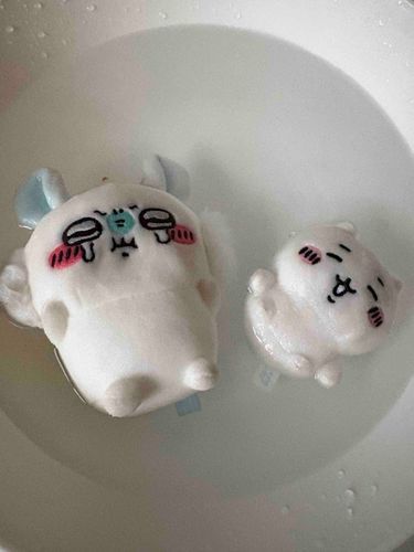 ぽかぽか