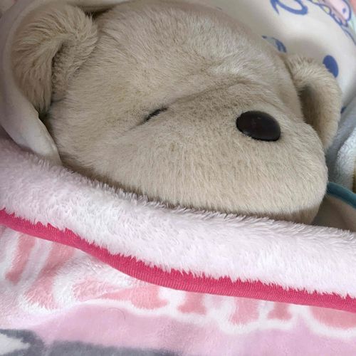 寝てません…よ…すぅ…