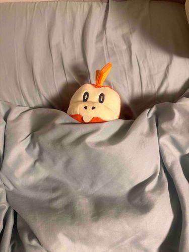 みんなおやすみ〜🥱