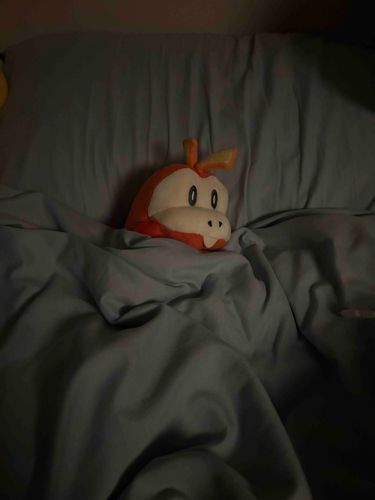 みんなおはよう〜😪
まだ寝てたい(  ⌯₄⌯) ᐝ🛌