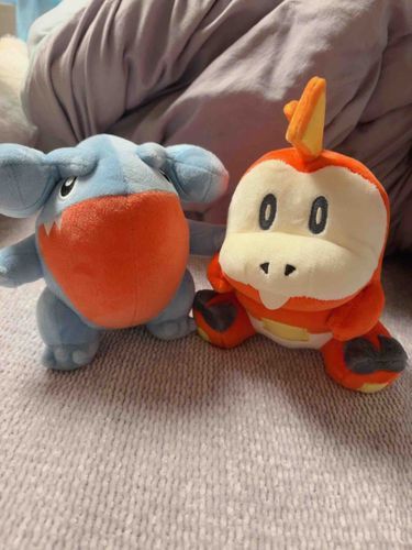 フカマルが来てくれたよ！！！嬉しいな🥰