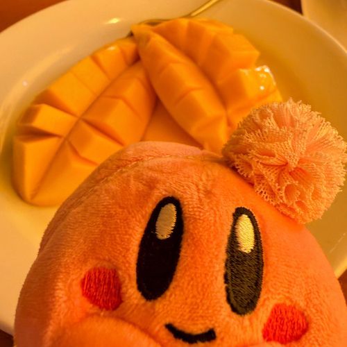 デニーズのマンゴー美味しかったです！
そしてハンバーグ🍖