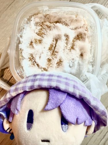 手作りのお味噌にお塩を振りました🧂( ´͈  `͈ )* 。これで二ヶ月発酵待ちに入ります。