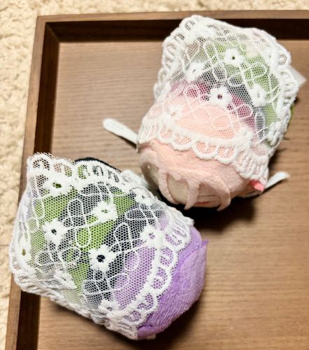バブーシュカ🌸お迎え出来ました*。
おもちさんもちもちお洋服みたいで可愛らしいです🐕🐕🐾🐾*。