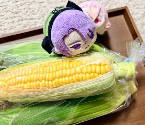 🌽*。