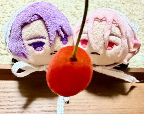 🍒*🐕🐕🐾🐾

#月曜日にもちを見て元気出す