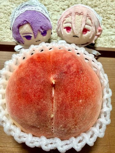 🐕🍑🐕* 。
