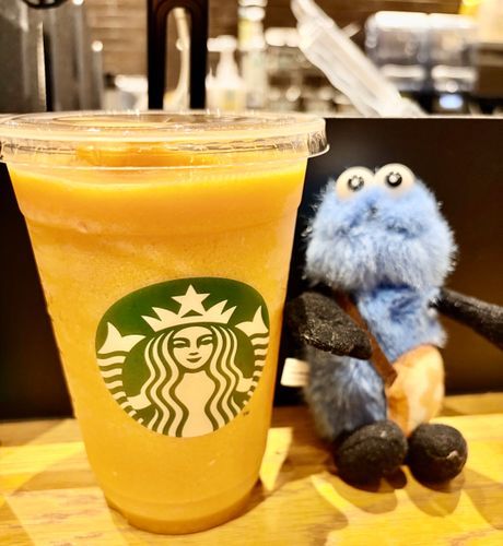 🍹* 。

