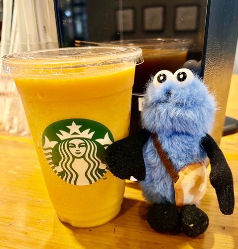 🥭*🌻*☀️* 。
