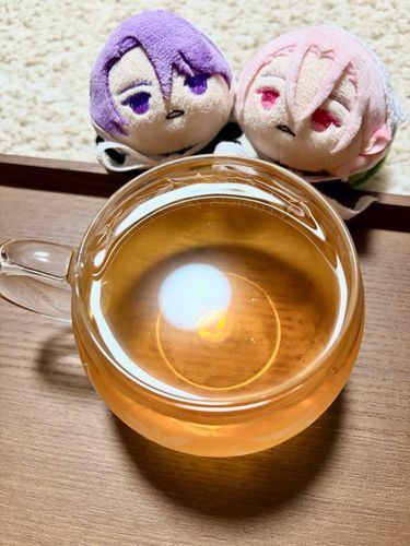 『水分補給のお時間です🐕🐕🐾🐾* 。』

水分補給促しわんわんさんです。

