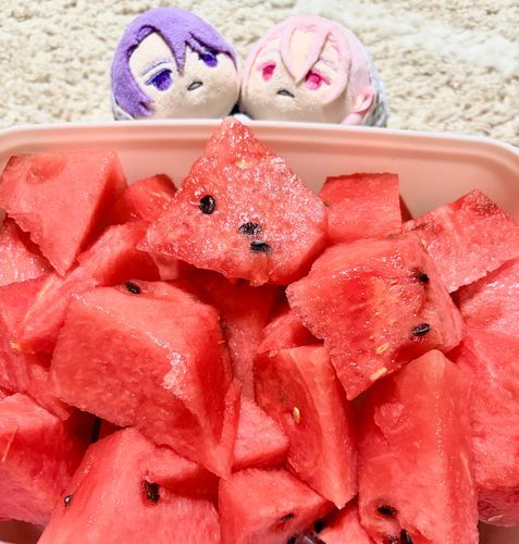 🍉* 。

