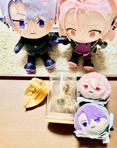 倶利伽羅江くんの軽装の透かし鬼灯、昔標本用に作ったのが二つあったので…出してきました* 🐕🐕🐾🐾。
涼しげです🌸。