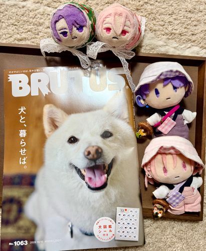 わんわんと暮らそう🐕🐕🐾🐾* 。