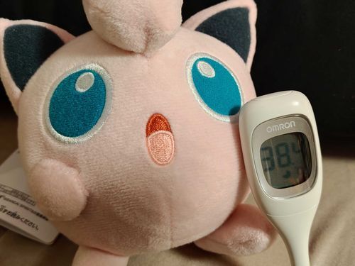 トレーナーさんか高熱を出してるんですよ高熱を！