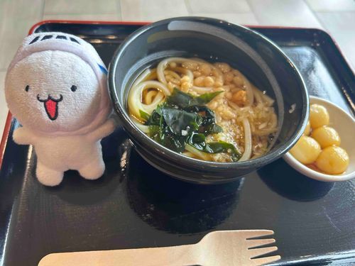 成田空港のラウンジで食べたおうどんと特にみたらし団子が美味しかったです🍡