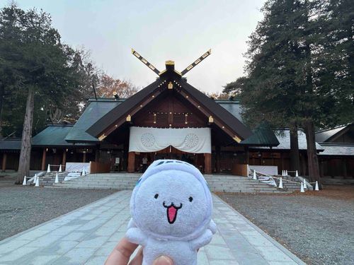 飛行機に乗って今回は北海道神宮にきたよ！