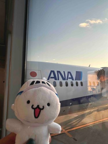 今回の旅は本日でおしまい！ANA機体に大接近！